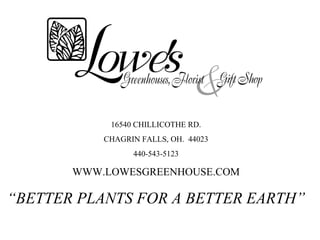 16540 CHILLICOTHE RD. CHAGRIN FALLS, OH.  44023 440-543-5123 WWW.LOWESGREENHOUSE.COM “ BETTER PLANTS FOR A BETTER EARTH” 