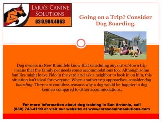 Going on a Trip? Consider
Dog Boarding.
For more information about dog training in San Antonio, call
(830) 743-4119 or visit our website at www.larascaninesolutions.com
Dog owners in New Braunfels know that scheduling any out-of-town trip
means that the family pet needs some accommodations too. Although some
families might leave Fido in the yard and ask a neighbor to look in on him, this
situation isn't ideal for everyone. When another trip approaches, consider dog
boarding. There are countless reasons why a dog would be happier in dog
kennels compared to other accommodations.
 