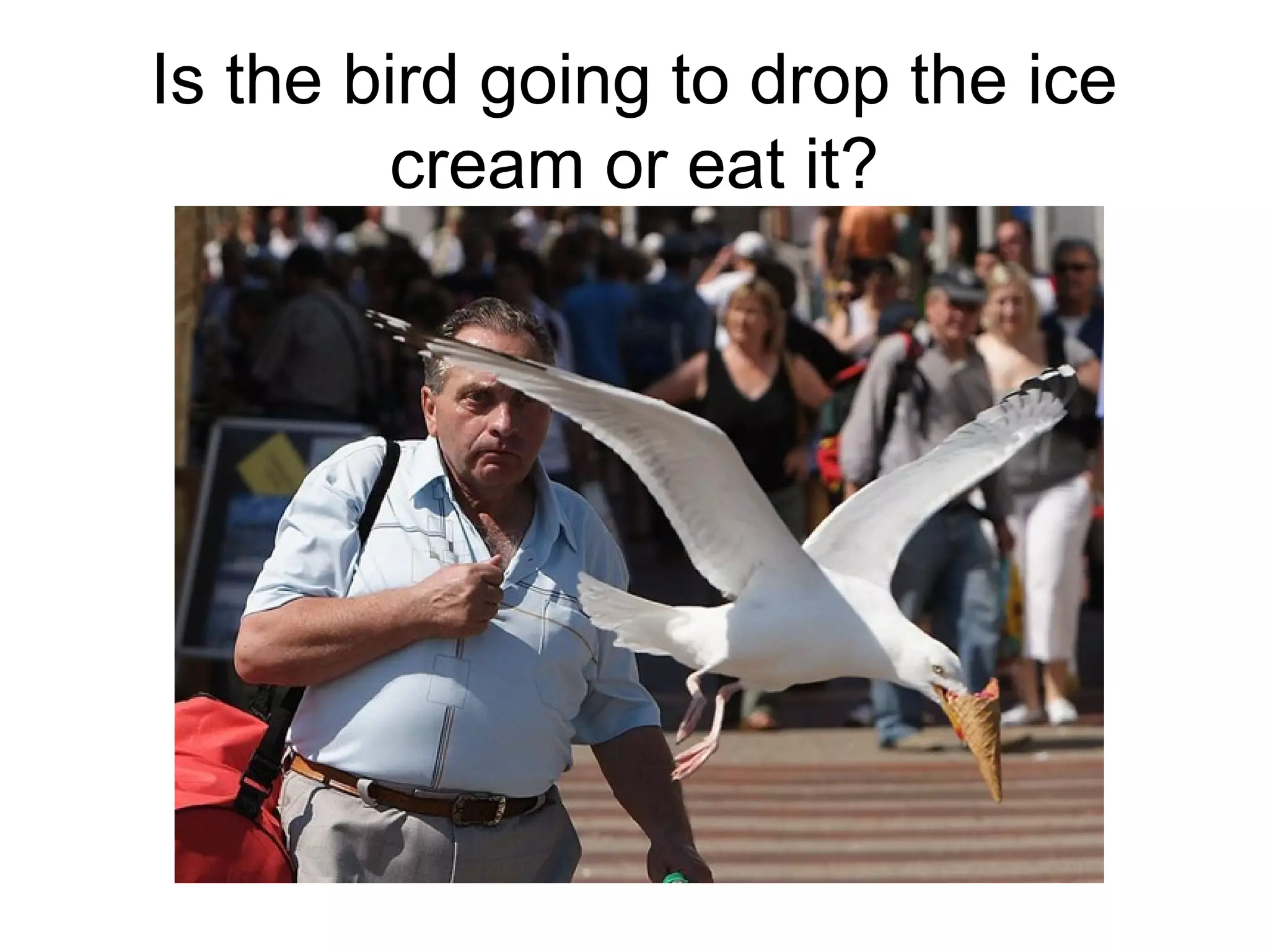 Is the bird going to drop the ice
cream or eat it?

 