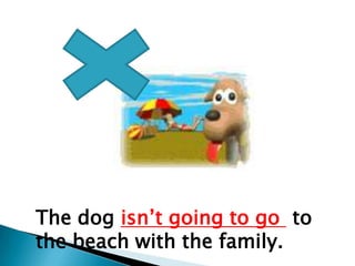 The dog isn’t going to go to
the beach with the family.