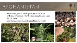 • also the largest producer of cannabis in the world
• The world's greatest illicit opium producer, ahead
of Burma (Myanmar), the "Golden Triangle", and Latin
America since 1992
 