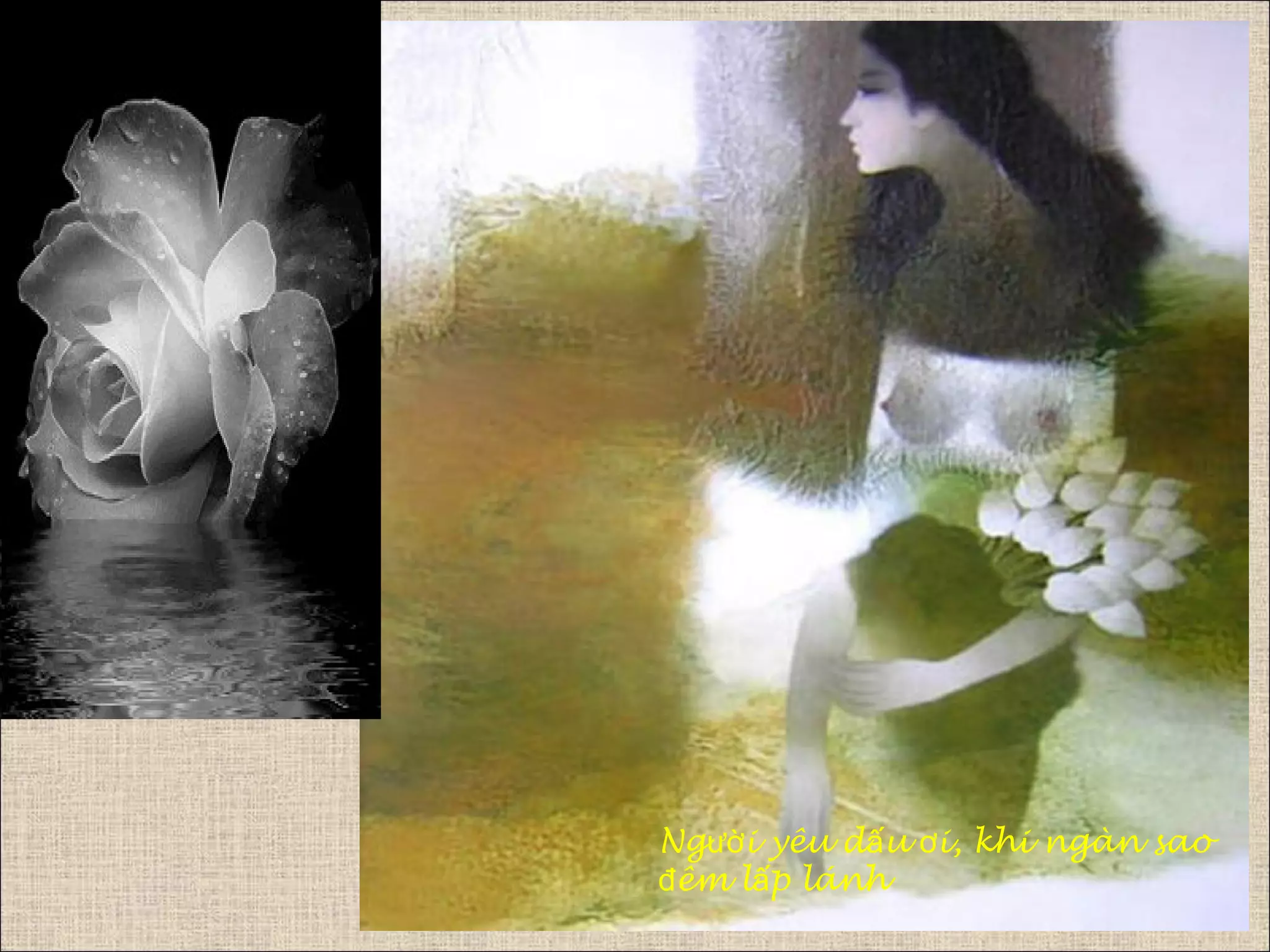 Ng i yêu d u i, khi ngàn saoườ ấ ơ
êm l p lánhđ ấ
 