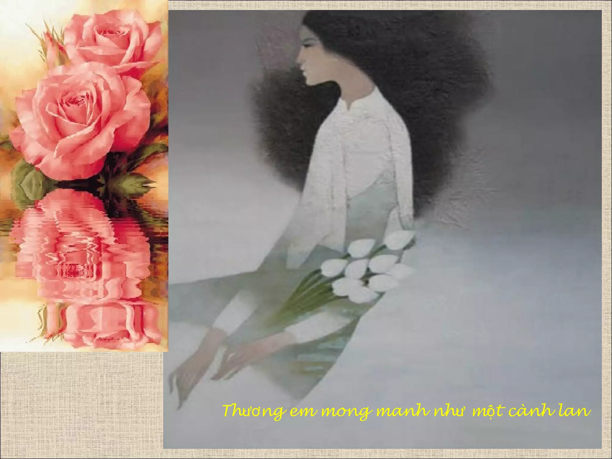 Th ng em mong manh nh m t cành lanươ ư ộ
 