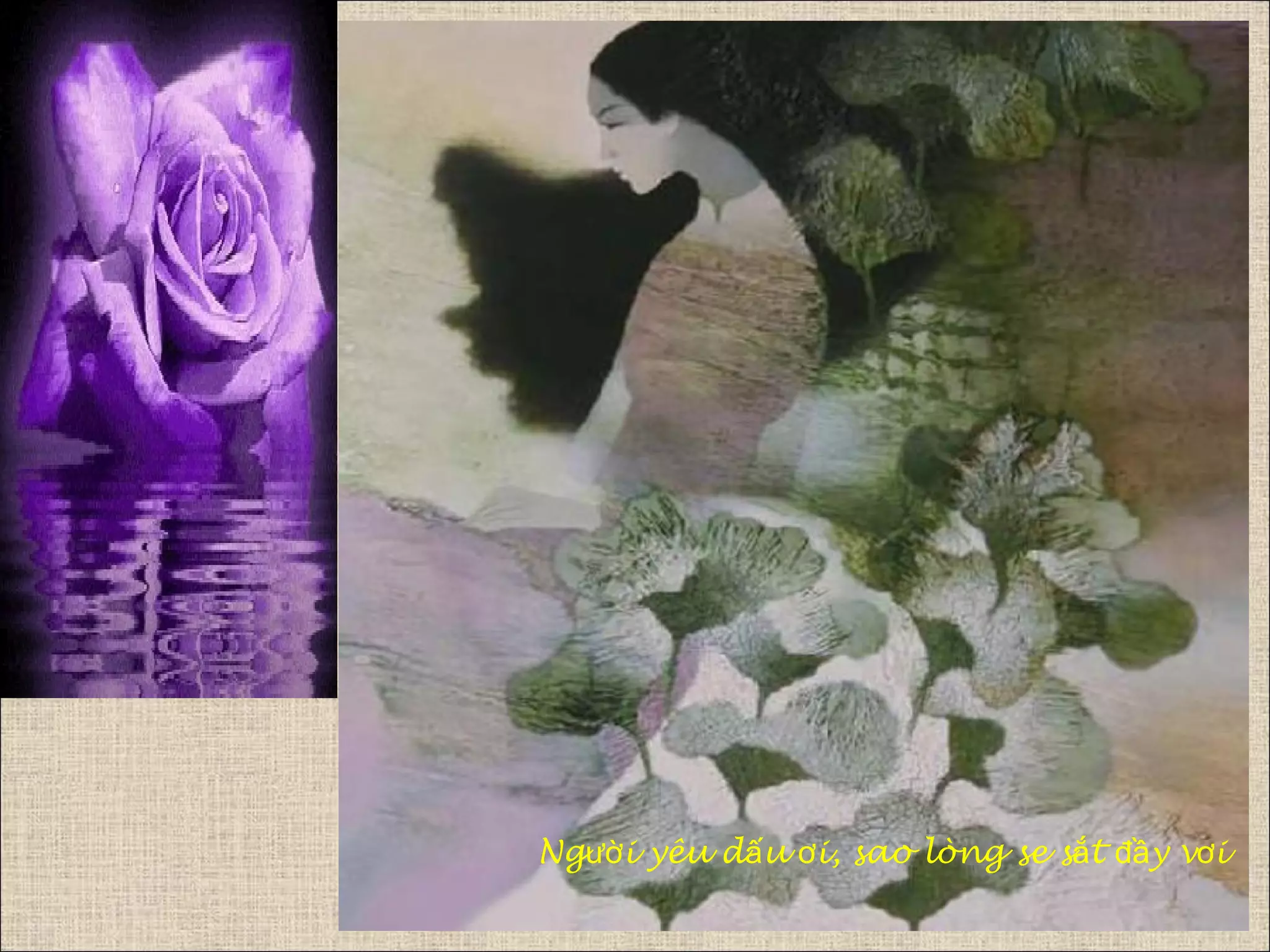 Ng i yêu d u i, sao lòng se s t y v iườ ấ ơ ắ đầ ơ
 
