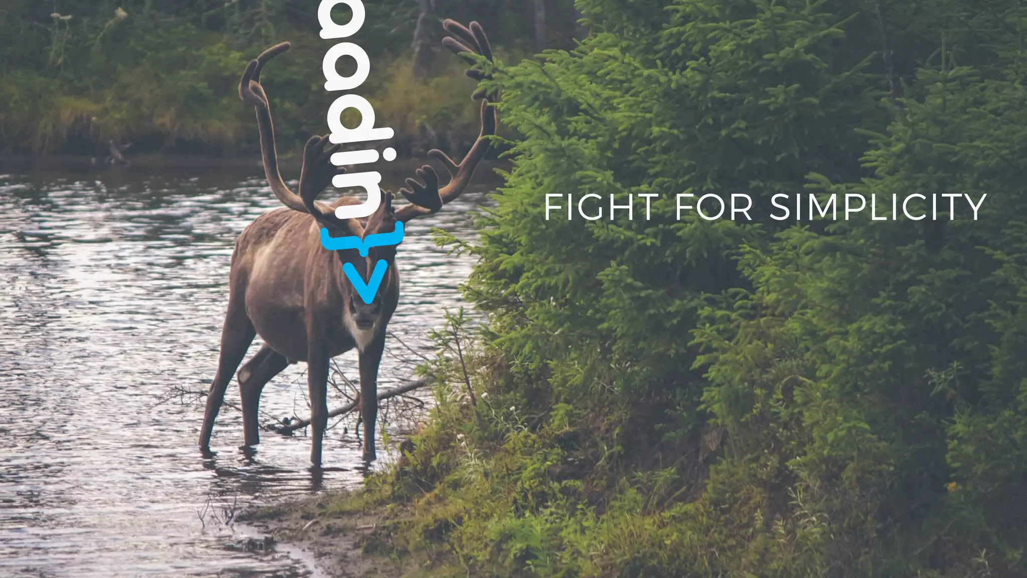 FIGHT FOR SIMPLICITY
 