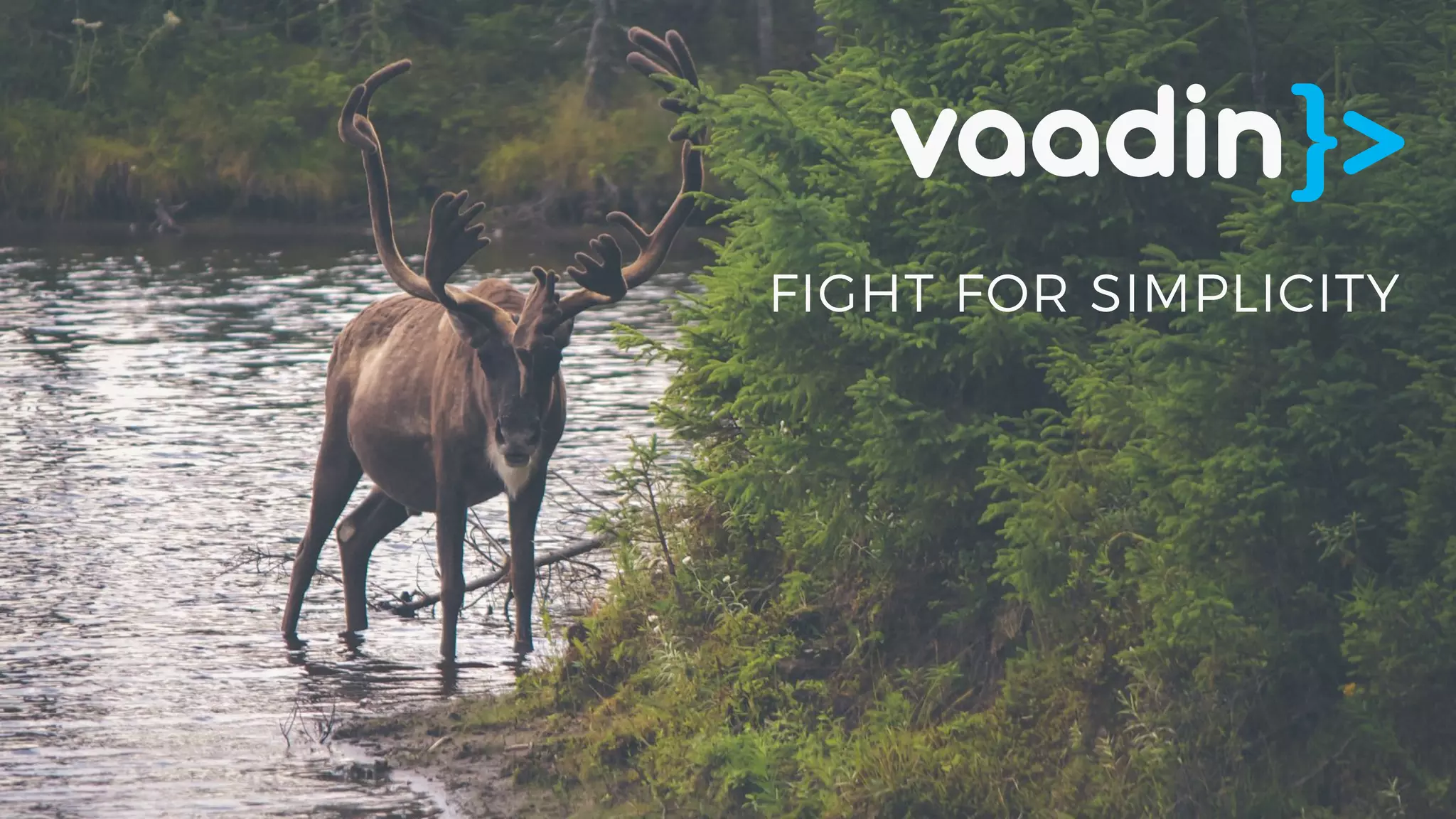 FIGHT FOR SIMPLICITY
 