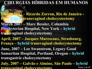 March 2007 – Ricardo Zorron, Rio de Janeiro - First  hybrid  transvaginal cholecystectomy March 2007 – Marc Bessler, Columbia Presbyterian Hospital, New York –  hybrid  transvaginal cholecystectomy  April, 2007 – Jacques Marescaux, Strasbourg, França –  hybrid  transvaginal cholecystectomy  June, 2007 – Lee Swanstrom,  Legacy Good Samaritan Hospital, Portland, Oregon –  hybrid  transgastric cholecystectomy July, 2007 – Galvão e Almino, São Paulo –  hybrid  transvaginal cholecystectomy August, 2007 – Branco, Paraná –  hybrid  transvaginal cholecystectomy CIRURGIAS HÍBRIDAS EM HUMANOS Sousa, L. H. /07 
