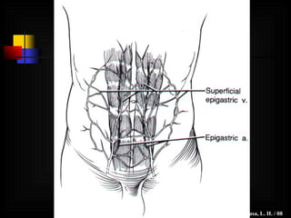 Sousa, L. H. / 98 Sousa, L. H. / 08 