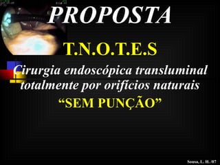 PROPOSTA T.N.O.T.E.S Cirurgia endoscópica transluminal totalmente por orifícios naturais “ SEM PUNÇÃO” Sousa, L. H. /07 