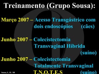 I O Treinamento (Grupo Sousa): Março 2007 –  Acesso Transgástrico com  dois endoscópios  (cães) Junho 2007 –  Colecistectomia  Transvaginal Híbrida  (suíno) Junho 2007 –  Colecistectomia  Totalmente Transvaginal   T.N.O.T.E.S  (suíno) Sousa, L. H. / 08 