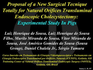 I O Proposal of a New Surgical Tecnique Totally for Natural Orifices Transluminal Endoscopic Cholecystectomy:  Experimental Study In Pigs Luiz Henrique de Sousa, Luiz Henrique de Sousa Filho, Murilo Miranda de Sousa, Vitor Miranda de Sousa, José Américo Gomides de Sousa (Sousa Group), Daniel Chalela Jr., Sérgio Tamura Curso Imersão em Treinamento de Cirurgia Videolaparoscópica e Treinamento em Cirurgia Endoscópica Transluminal por Orifícios Naturais (CETON), Goiânia, GO Trainning Center of Natural Orifices Transluminal Endoscopic Surgery (NOTES), Goiânia, GO, Brazil Sousa, L. H. /07 