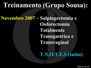 I O Treinamento (Grupo Sousa): Novembro 2007 –  Salpingectomia e  Ooforectomia  Totalmente  Transgastrica e  Transvaginal   T.N.O.T.E.S (suíno) Sousa, L. H. /07 