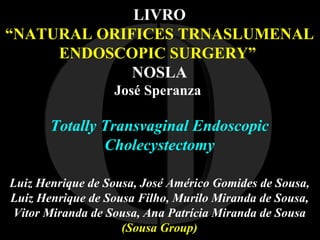 I O LIVRO “ NATURAL ORIFICES TRNASLUMENAL ENDOSCOPIC SURGERY”   NOSLA José Speranza   Totally Transvaginal Endoscopic Cholecystectomy Luiz Henrique de Sousa,  José Américo Gomides de Sousa,   Luiz Henrique de Sousa Filho, Murilo Miranda de Sousa, Vitor Miranda de Sousa, Ana Patrícia Miranda de Sousa  (Sousa Group) 