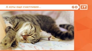А коты еще счастливее…
 