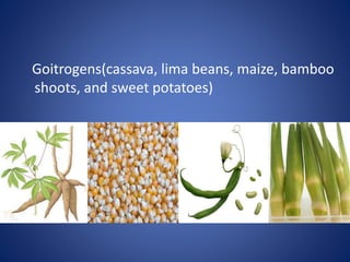 Goitrogens(cassava, lima beans, maize, bamboo
shoots, and sweet potatoes)
 