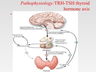 Pathophysiology:TRH-TSH thyroid
hormone axis
•
 
