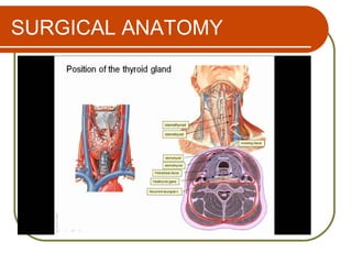 SURGICAL ANATOMY
 