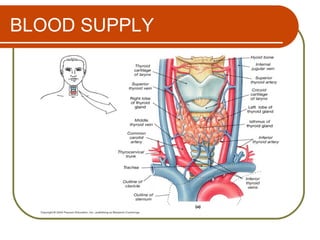 BLOOD SUPPLY
 