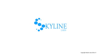 Copyright Skyline Labs 2016-17
 