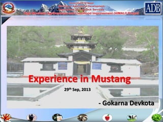 Experience in Mustang
29th Sep, 2013

- Gokarna Devkota

 