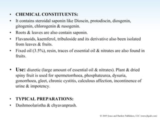 • CHEMICAL CONSTITUENTS:
• It contains steroidal saponin like Dioscin, protodiscin, diosgenin,
gitogenin, chlorogenin & rusogenin.
• Roots & leaves are also contain saponin.
• Flavanoids, kaemferol, tribuloside and its derivative also been isolated
from leaves & fruits.
• Fixed oil (3.5%), resin, traces of essential oil & nitrates are also found in
fruits.
• Use: diuretic (large amount of essential oil & nitrates). Plant & dried
spiny fruit is used for spermetorrhoea, phosphateurea, dysuria,
gonorrhoea, gleet, chronic cystitis, calculous affection, incontinence of
urine & impotency.
• TYPICAL PREPARATIONS:
• Dashmoolaristha & chyavanprash.
 