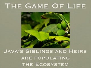 The Game Of Life



Java‘s Siblings and Heirs
     are populating
      the Ecosystem
 