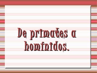Prosimios Prosimios | ODP