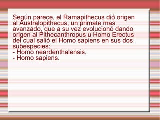 Prosimios Prosimios | ODP