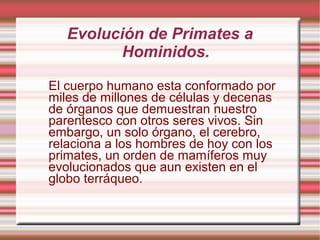 Prosimios Prosimios | ODP