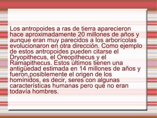 Prosimios Prosimios | ODP