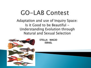 :Inquiry SpaceAdaptation and use of
Is it Good to be Beautiful -
Understanding Evolution through
Natural and Sexual Selection
STELLA MAGID
ISRAEL
 