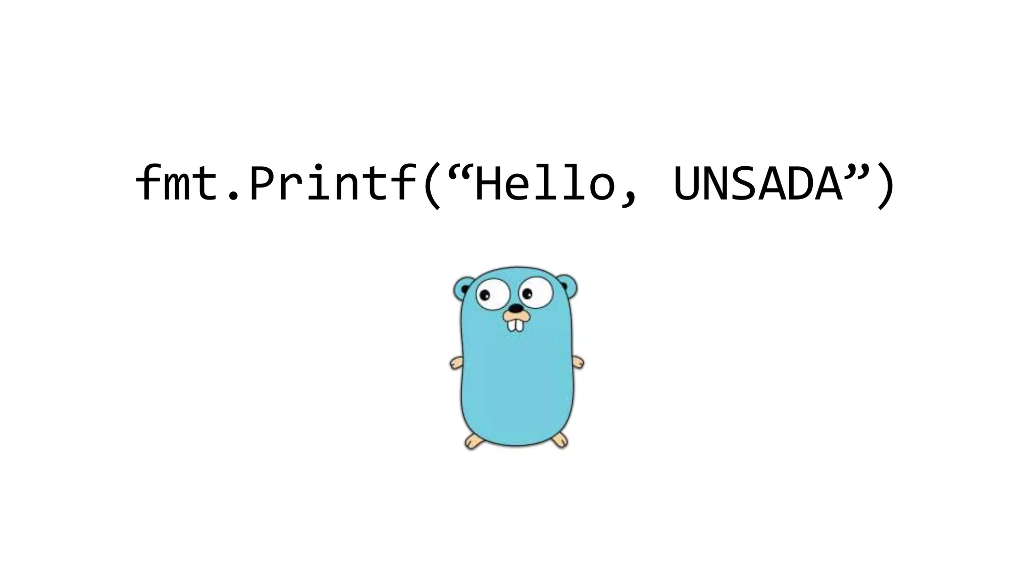fmt.Printf(“Hello, UNSADA”)
 