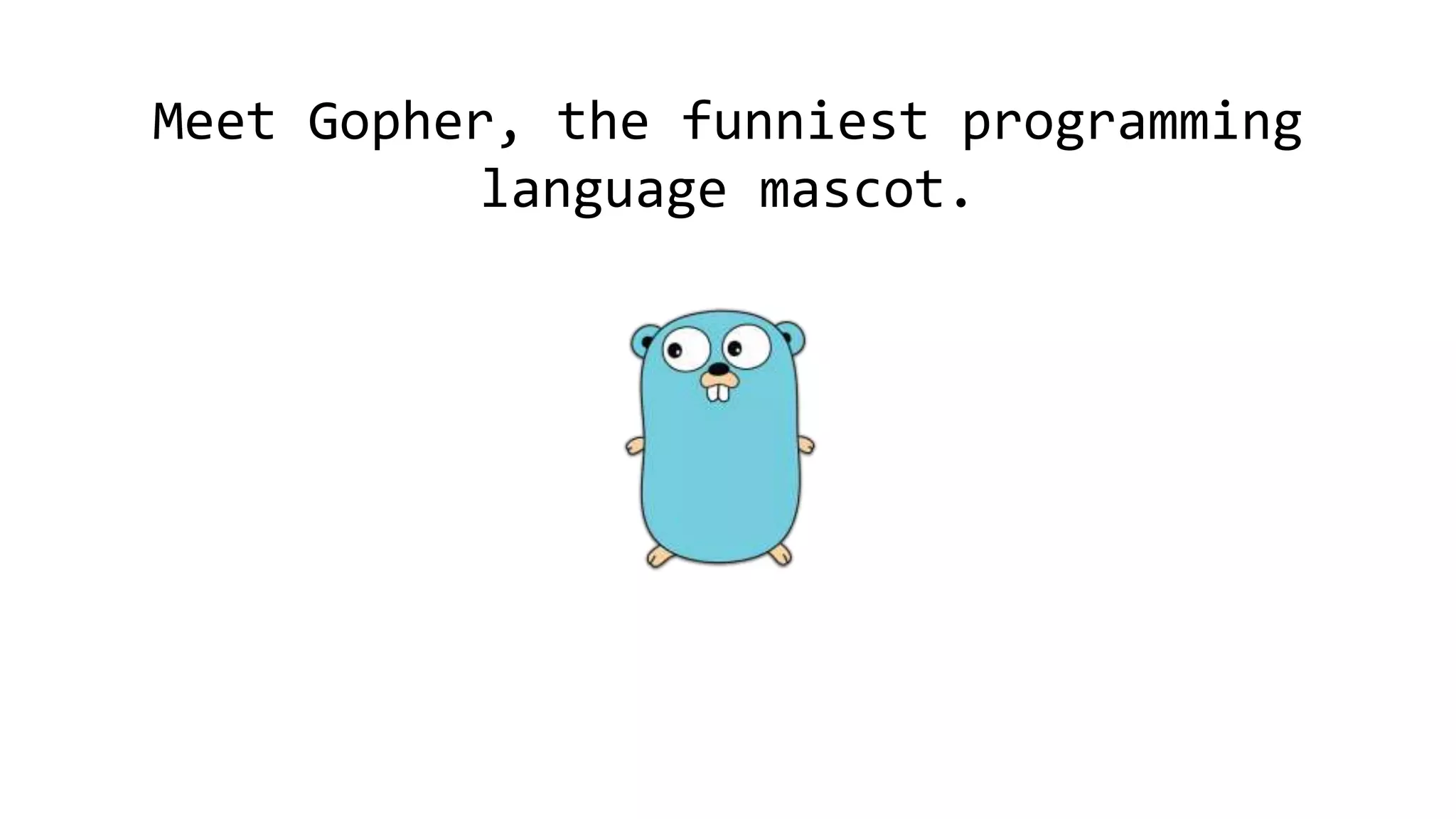 Meet Gopher, the funniest programming
language mascot.
 