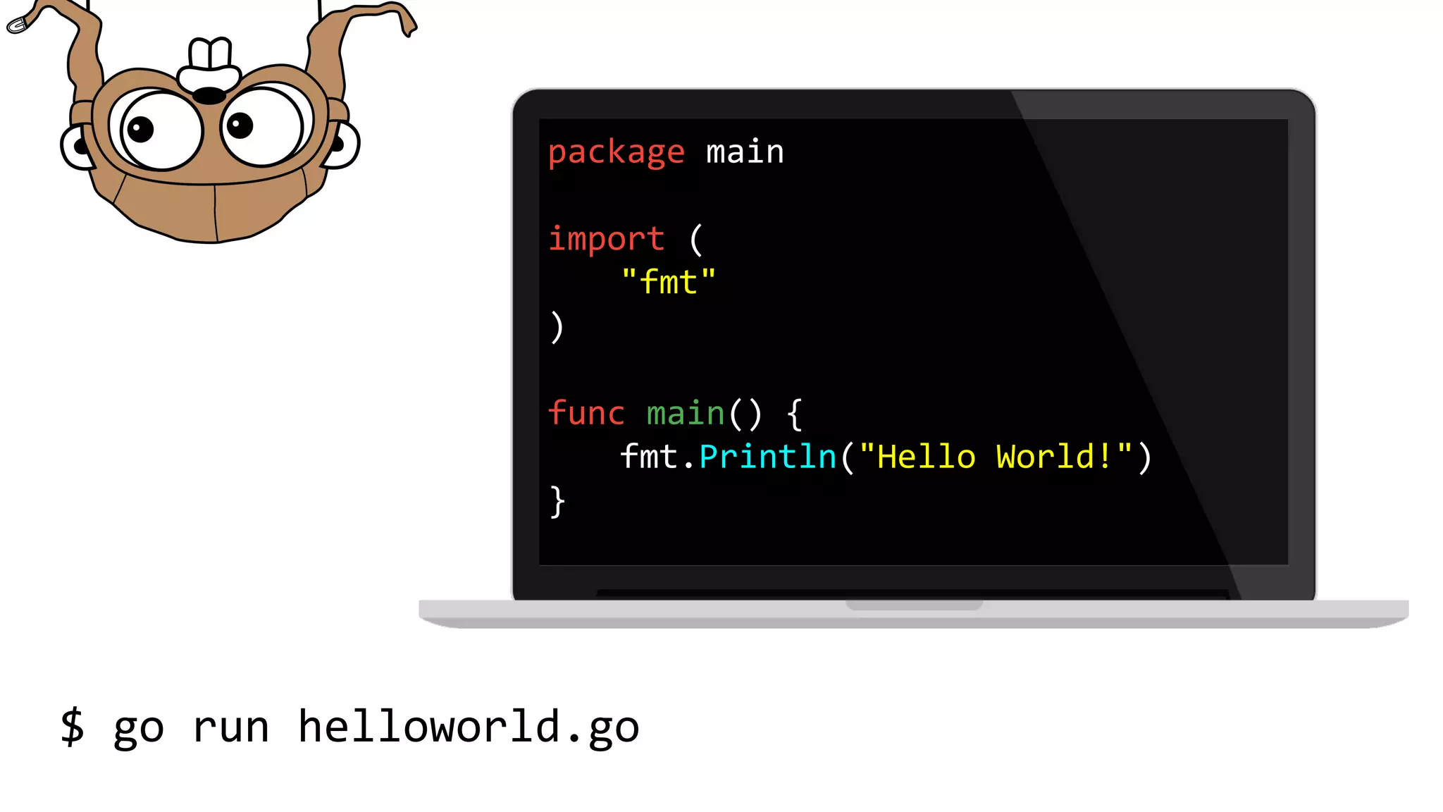 package main
import (
"fmt"
)
func main() {
fmt.Println("Hello World!")
}
$ go run helloworld.go
 