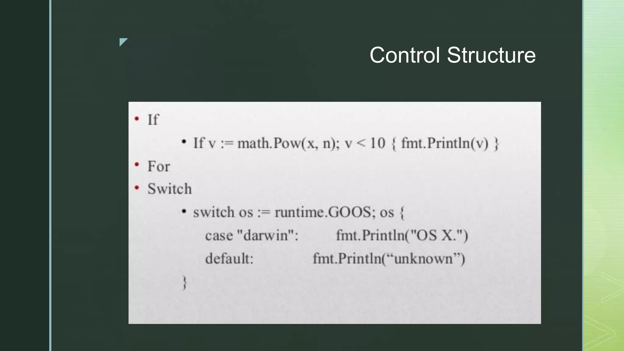 z Control Structure 