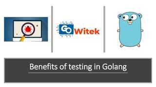 Benefits of testing in Golang
 
