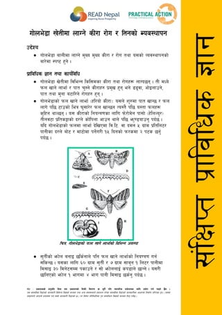gf]6 M k|sfzssf] cg'dlt ljgf o; k|sfzgsf] laqmL ljt/0f jf s'g} klg Jofkfl/s k|of]hgsf nflu k|of]u ug{ kfOg] 5}g .
o; ;fdu|Ldf lbOPsf] hfgsf/L ljleGg lj1sf] ;Nnfx tyf cGo ;+3;:yfn] k|sfzg u/]sf ;fdu|Ldf lbOPsf] hfgsf/Lsf cfwf/df lgdf{0f ul/Psf x'g . o;df
;d'bfon] cfkmgf] k|of;df ug{ ;Sg] hfgsf/L lbOPsf] 5 . t/ ljif]z kl/l:yltdf k'g ;DalGwt lj1sf] ;Nnfx lng' kg]{5 .
;+lIfKtk|fljlws1fg
uf]ne]8f v]tLdf nfUg] sL/f /f]u / ltgsf] Joj:yfkg
p2]Zo
 uf]ne]8f afnLdf nfUg] d'Vo d'Vo sL/f / /f]u tyf o;sf] Joj:yfkgsf]
af/]df :ki6 x'g] .
k|fljlws 1fg tyf sfo{ljlw
 uf]ne]8f v]tLdf ljleGg lsl;dsf sL/f tyf /f]ux¿ nfUb5g . tL dWo]
kmn vfg] nfef{ / kft r':g] sL/fx? k|d'v x'g eg] 89'jf, cf]Onfpg],
kft tyf d'gf a6fl/g] /f]ux? x'g .
 Uff]ne]8fsf] kmn vfg] nfef{ -xl/of] sL/f_M o;n] z'?df kft vfG5 / kmn
nfu] kl5 6fpsf] leq 3';f/]/ kmn vfG5g To:t} kl5 o:tf kmnx¿
s'lxg yfN5g . o; sL/fsf] lgoGq0fsf nflu km]/f]d]g kf;f] -x]lnNo'/_
tLgj6f k|lts¶fsf] b/n] sf]lknf cfpg yfn] kl5 em'08ofpg' kb{5 .
olb Uff]ne]8fsf] kmndf nfef{ b]lvPdf lj=l6= jf bdg % u|fd k|ltln6/
kfgLsf b/n] af]6 / df6f]df kg{]u/L !% lbgsf] km/sdf @ k6s 5g'{
kb{5 .
lrq= Uff]ne]8fsf] kmn vfg] nfef{sf] laleGg cj:yf
 ;'tL{sf] emf]n agfO 5ls{gfn] klg kmn vfg] nfef{sf] lgo0q0f ug{
;lsG5 . o;sf nflu ^) u|fd ;'tL{ / & u|fd ;fa'g ! ln6/ kfgLdf
ld;fO #) ldg]6;Dd ksfpg] / ;f] emf]nnfO{ sk8fn] 5fGg] . o;/L
5flgPsf] emf]n ! efudf $ efu kfgL ld;fO 5s{g' kb{5 .
 