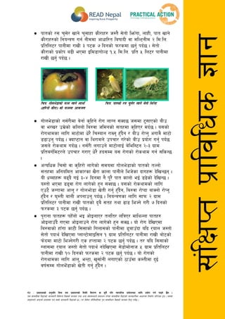 gf]6 M k|sfzssf] cg'dlt ljgf o; k|sfzgsf] laqmL ljt/0f jf s'g} klg Jofkfl/s k|of]hgsf nflu k|of]u ug{ kfOg] 5}g .
o; ;fdu|Ldf lbOPsf] hfgsf/L ljleGg lj1sf] ;Nnfx tyf cGo ;+3;:yfn] k|sfzg u/]sf ;fdu|Ldf lbOPsf] hfgsf/Lsf cfwf/df lgdf{0f ul/Psf x'g . o;df
;d'bfon] cfkmgf] k|of;df ug{ ;Sg] hfgsf/L lbOPsf] 5 . t/ ljif]z kl/l:yltdf k'g ;DalGwt lj1sf] ;Nnfx lng' kg]{5 .
;+lIfKtk|fljlws1fg
 Kfftsf] /; r';]/ vfg] r';fxf sL/fx? h:t} ;]tf] lemFuf, nfxL, kft vfg]
sL/fx?sf] lgoGq0f ug{ gLddf cfwfl/t laiffbL jf dlN6gLd @ ld=ln=
k|ltln6/ kfgLdf /fvL # k6s & lbgsf] km/sdf 5g'{ kb{5 . ;]tf]
sL/fsf] k|sf]k a9L ePdf Old8fuf]N8 !=% ld=ln= k|lt % ln6/ kfgLdf
/fvL 5g'{ kb{5 .
lrq= Uff]ne]8fsf] kmn vfg] nfef{ lrq= Kfftsf] /; r';]/ vfg] ;]tf] lemFuf
-xl/of] sL/f_ sf] kmndf cfqmd0f
 Uff]ne]8fsf] g;{/Ldf a]gf{ s'lxg] /f]u nfUg ;Sb5 h;df 6';fPsf] aLp
jf e/v/ pd|]sf] slnnf] la?jf hldgsf] ;txdf s'lxP/ db{5 . o;sf]
/f]uyfdsf nflu df6f]df w]/} lr:ofg /fVg' x'Fb}g / aLp /f]Kg' cufj} df6f]
89fpg' kb{5 . SofK6fg jf ly/fdn] pkrf/ u/]sf] aLp k|of]u ug'{ kb{5
h;n] /f]syfd ub{5 . g;{/L nufpg] df6f]nfO{ a]lel:6g @–# u|fd
k|ltau{ld6/n] pkrf/ u/fP w]/} xb;Dd o; /f]usf] /f]syfd ug{ ;lsG5
.
 cTolws lr;f] jf s'lx/f] nfu]sf] ;dodf uf]ne]8fsf] kftsf] tNnf]
;txdf clgoldt cfsf/sf v}/f sfnf kfgLn] leh]sf bfux¿ b]lvG5g .
oL wAafx¿ a9b} uO{ #–$ lbgdf g} k"/} kft sfnf] eO{ 89]sf] b]lvG5 .
o:tf] ePdf 89'jf /f]u nfu]sf] x'g ;Sb5 . o;sf] /f]syfdsf] nflu
Pp6} hUufdf cfn' / uf]nef]8f v]tL ug'{ xF'b}g, la?jf /f]Kbf afSnf] /f]Kg'
x'Fb}g / 3'DtL afnL ckgfpg' kb{5 . lgoGq0fsf nflu ;fkm @ u|fd
k|ltln6/ kfgLdf /fvL kftsf] b'a} ;tx tyf 9f8 leHg] u/L & lbgsf]
km/sdf # k6s 5g{' kb{5 .
 k'/fgf kftx¿ kxF]nf] eO cf]OnfP/ tnlt/ nlqP/ dflyNnf kftx?
cf]OnfpFb} uPdf cf]Onfpg] /f]u nfu]sf] x'g ;S5 . of] /f]u b]lvPdf
la?jfsf] xfFuf sf6L l;;fsf] lunf;sf] kfgLdf 8'afpFbf olb /ofn h:tf]
;]tf] kbfy{ b]lvPdf KnfG6f]dfOl;g ! u|fd k|ltln6/ kfgLdf /fvL af]6sf]
km]bdf df6f] leHg]u/L Ps xKtfdf @ k6s 5g'{ kb{5 . t/ olb l;;fsf]
Unf;df /ofn h:tf] ;]tf] kbfy{ gb]lvPdf ;]8f]df]gfh % u|fd k|ltln6/
kfgLdf /fvL !) lbgsf] km/sdf @ k6s 5g{' kb{5 . of] /f]usf]
/f]uyfdsf nflu cfn', eG6f, v';f{gL nufPsf] 7fpFdf sDtLdf b'O{
jif{;Dd uf]neF]8fsf] v]tL ug'{ x'Fb}g .
 