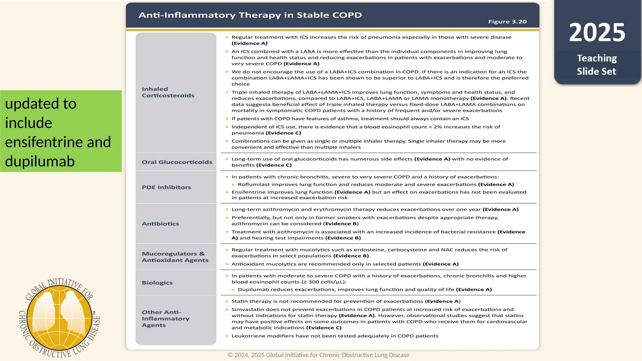 GOLD-2025_recent updates and change.pptx