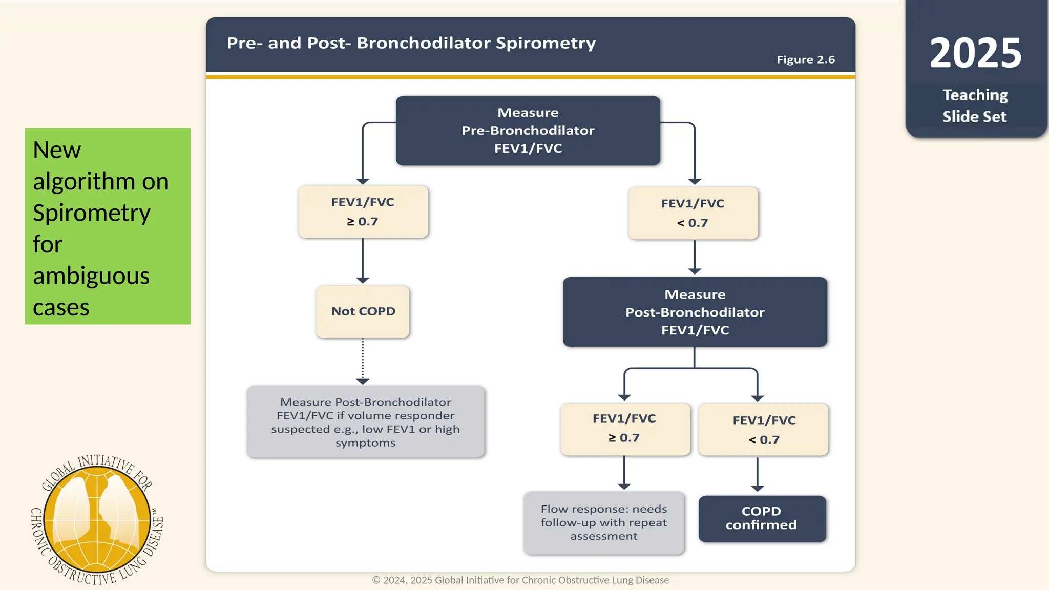 GOLD-2025_recent updates and change.pptx