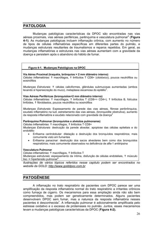 PATOLOGIA

       Mudanças patológicas características da DPOC são encontradas nas vias
aéreas proximais, vias aéreas periféricas, parênquima e vasculatura pulmonar2 (Figura
4-1). As mudanças patológicas incluem inflamação crônica, com aumento no número
de tipos de células inflamatórias específicas em diferentes partes do pulmão, e
mudanças estruturais resultantes de traumatismos e reparos repetidos. Em geral, as
mudanças inflamatórias e estruturais nas vias aéreas aumentam com a gravidade da
doença e persistem após o abandono do hábito de fumar.



    Figura 4-1. Mudanças Patológicas na DPOC

Via Aérea Proximal (traquéia, brônquios > 2 mm diâmetro interno)
Células Inflamatórias:  macrófagos, linfócitos T CD8+ (citotóxico), poucos neutrófilos ou
eosinófilos

Mudanças Estruturais:    células caliciformes, glândulas submucosas aumentadas (ambos
levando à hipersecreção do muco), metaplasia escamosa do epitélio3.

Vias Aéreas Periféricas (bronquíolos<2 mm diâmetro interno)
Células Inflamatórias:    macrófagos,     linfócitos T (CD8+> CD4+),     linfócitos B, folículos
linfóides, fibroblastos, poucos neutrófilos ou eosinófilos

Mudanças Estruturais: Espessamento de parede das vias aéreas, fibrose peribrônquica,
exudato inflamatório na luzl, estreitamento das vias aéreas, (bronquiolite obstrutiva), aumento
da resposta inflamatória e exudato relacionado com gravidade da doença4

Parênquima Pulmonar (bronquíolos e alvéolos pulmonares)
Células Inflamatórias: macrófagos, linfócitos T CD8+
Mudanças Estruturais: destruição da parede alveolar, apoptose das células epiteliais e do
endotélio
    • Enfisema centrolobular: dilatação e destruição dos bronquíolos respiratórios; mais
        comumente visto em fumantes
    • Enfisema panacinar: destruição dos sacos alveolares bem como dos bronquíolos
        respiratórios; mais comumente observados na deficiência de alfa-1 antitripsina

Vasculatura Pulmonar
Células inflamatórias: macrófagos, linfócitos T
Mudanças estruturais: espessamento da íntima, disfunção de células endoteliais,       músculo
liso hipertensão pulmonar6
Ilustrações de vários tópicos referidos nesse capitulo podem ser encontrados no
website da GOLD: http://www.golddpoc.com.br


PATOGÊNESE

        A inflamação no trato respiratório de pacientes com DPOC parece ser uma
amplificação da resposta inflamatória normal do trato respiratório a irritantes crônicos
como fumaça de cigarro. Os mecanismos para essa ampliação ainda não são bem
compreendidos, mas podem ser geneticamente determinados. Alguns pacientes
desenvolvem DPOC sem fumar, mas a natureza da resposta inflamatória nesses
pacientes é desconhecida7. A inflamação pulmonar é adicionalmente amplificada pelo
estresse oxidativo e o excesso de proteinases no pulmão. Juntos, esses mecanismos
levam a mudanças patológicas características da DPOC (Figura 4-2).
                                                                                               26
 