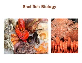 Shellfish Biology
 