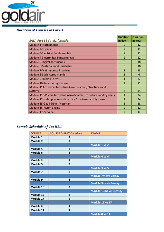 essay examples module easa 7 Who are we