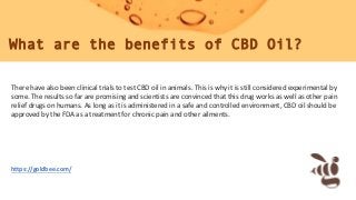 What are the benefits of CBD Oil?
https://goldbee.com/
There have also been clinical trials to test CBD oil in animals. Th...