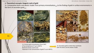 11
1- Theoretical concepts: biogenic cycle of gold
1c- Comparative biotic and abiotic model: from primary mineralization[12] to the finding of gold in surface environments in
the form of secondary gold[13] .
@L’OR Deluy N17 @L’OR Deluy N17[12] [13]
12- Primary gold mineralization (from DAP)
of low temperature (T up to 300°C).
Bacterial activity could result
important in the concentration of gold (T up to 400°C).
13- Secondary gold in which they contribute
both the biotic and the abiotic model.
Biogenic gold cycle - Potential in exploration and mining AMI conference - Oberto Matteo - October 2018
 