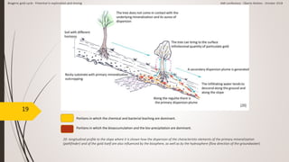 19
20- longitudinal profile to the slope where it is shown how the dispersion of the characteristic elements of the primary mineralization
(pathfinder) and of the gold itself are also influenced by the biosphere, as well as by the hydrosphere (flow direction of the groundwater).
Portions in which the chemical and bacterial leaching are dominant.
Portions in which the bioaccumulation and the bio-precipitation are dominant.
[20]
Biogenic gold cycle - Potential in exploration and mining AMI conference - Oberto Matteo - October 2018
 