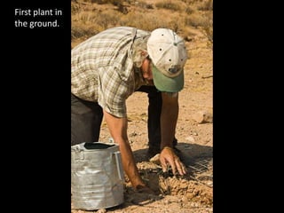 First plant in the ground.