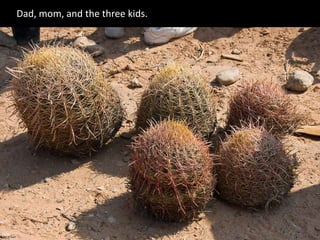 Dad, mom, and the three kids.