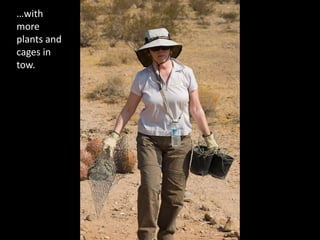with more plants and cages in tow.