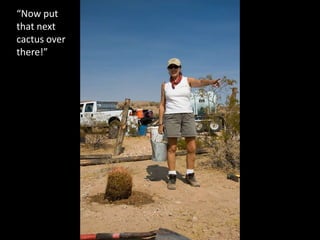 Now put that next cactus over there!
